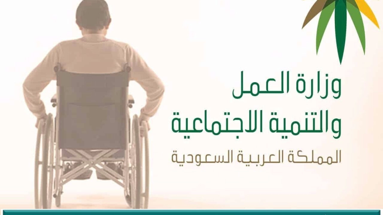 سلم اعانات التأهيل الشامل