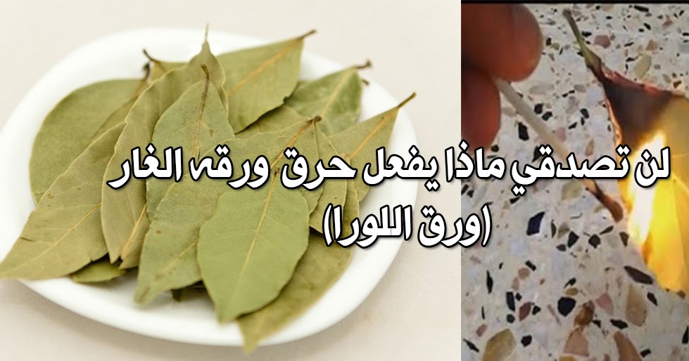 حرق ورق الغار في المنزل سيفعل المعجزات
