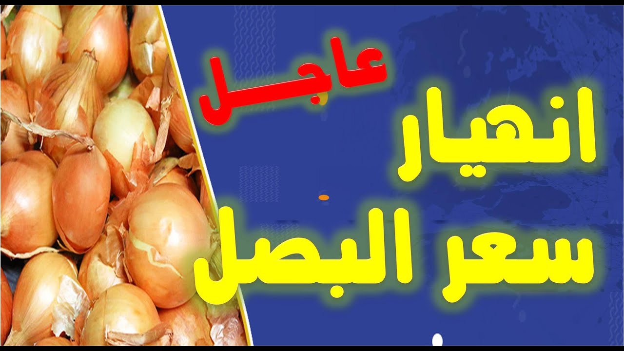 خبر سار وعاجل بشأن أسعار البصل