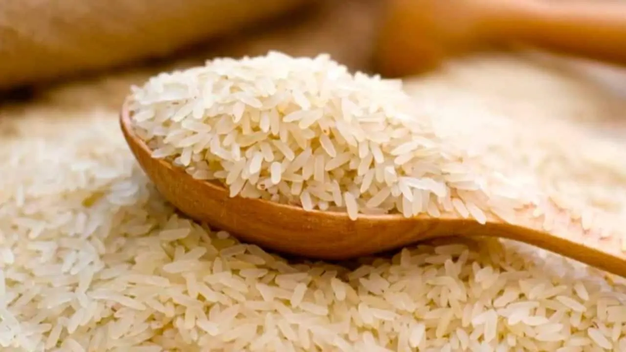 أسعار طن أرز الشعير