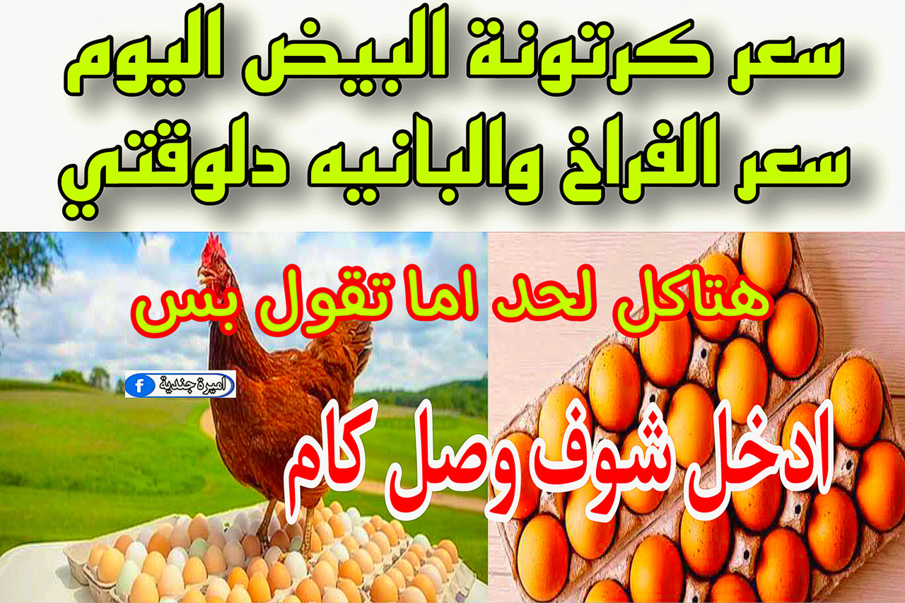 اسعار الدواجن