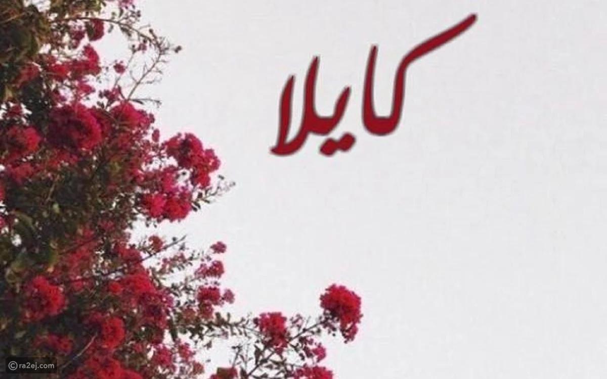معنى اسم كايلا