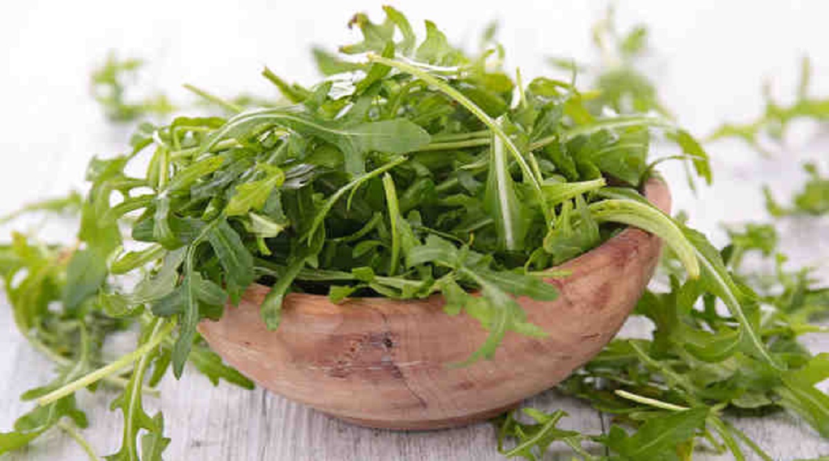 عشبة الشباب