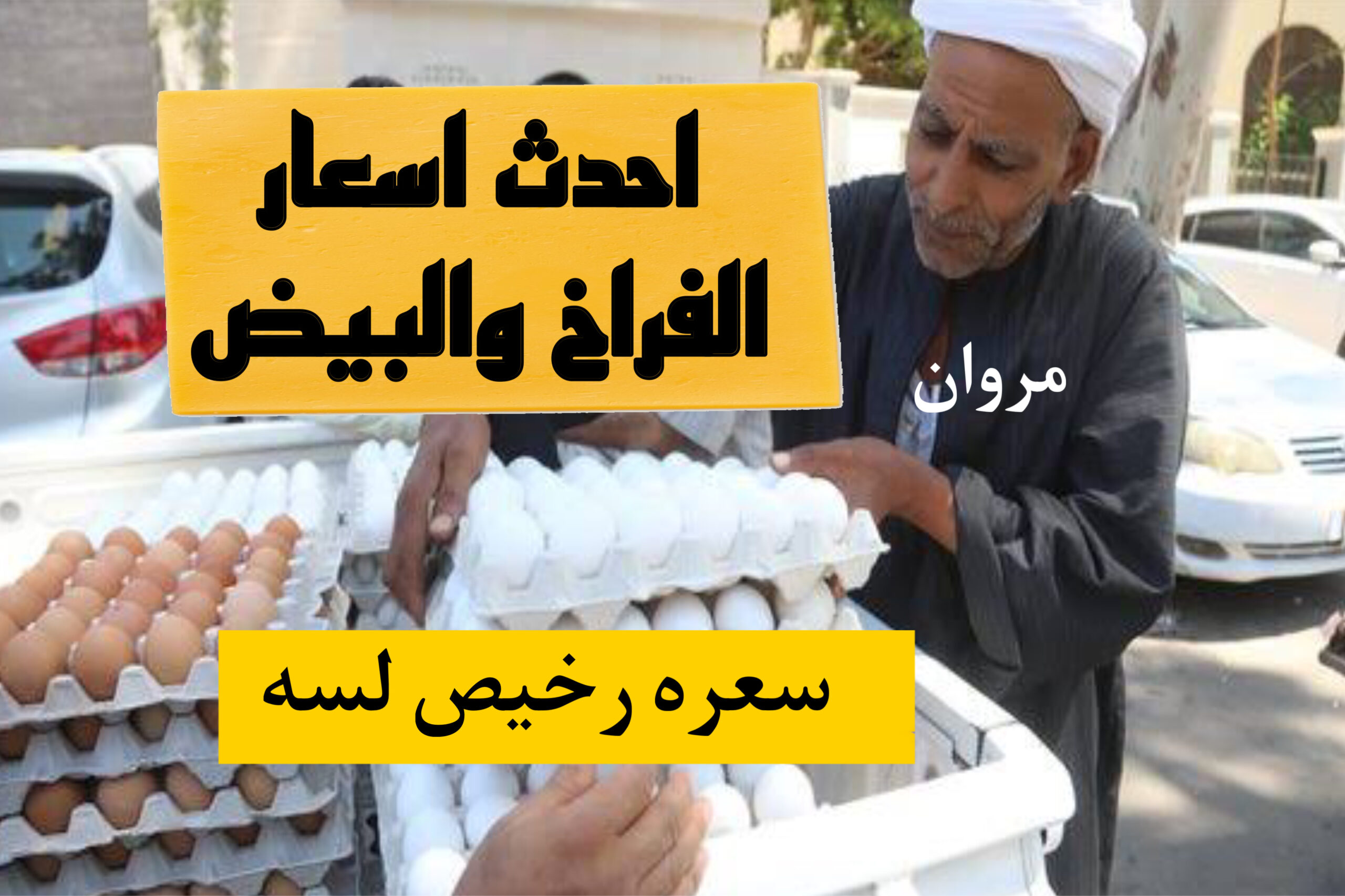 سعر كرتونة البيض اليوم