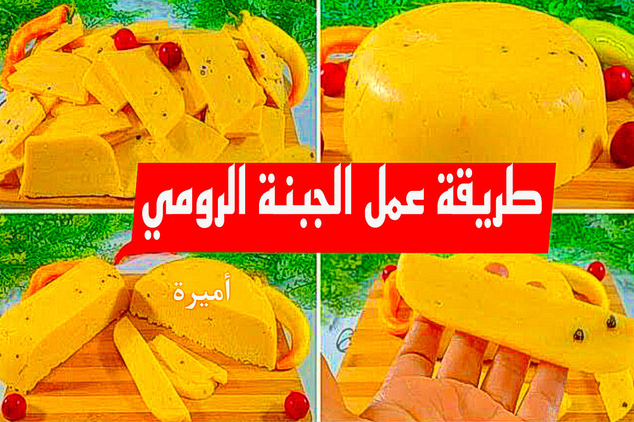 طريقة عمل الجبنة الرومي