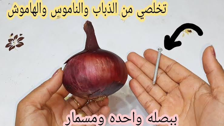 عاوزة تتخلصي من الذباب والناموس والهاموش