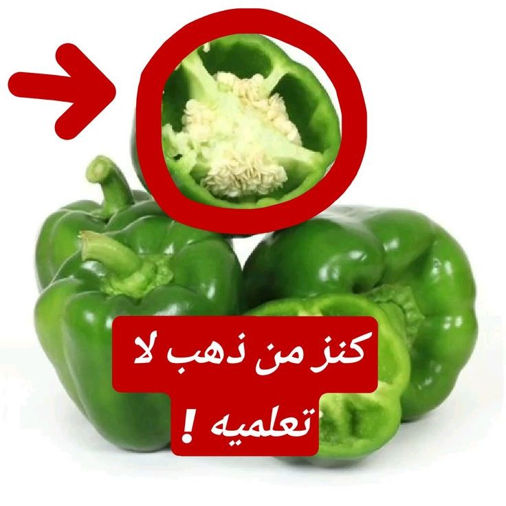 76a383a4b1d3bdc7d1e38358ba4c8efb