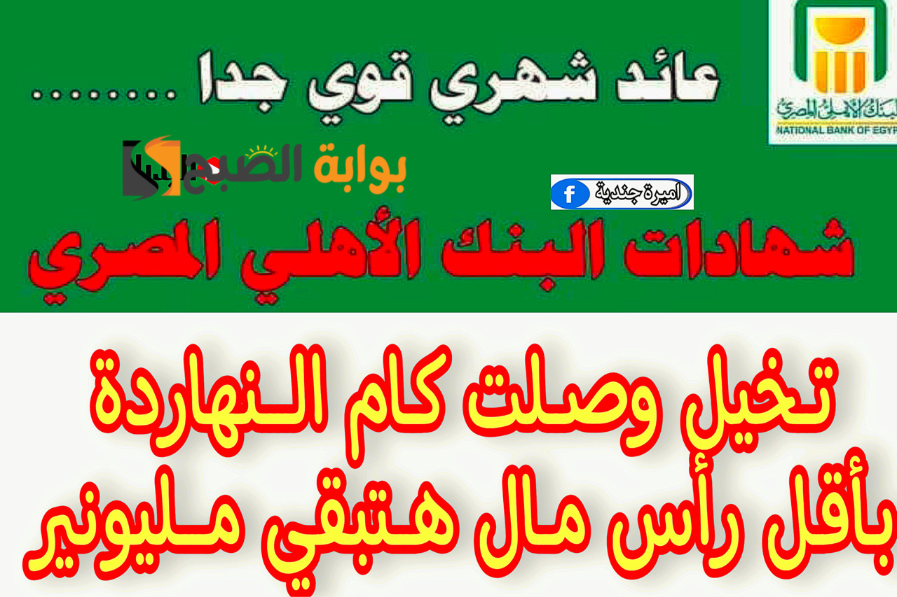 شهادات البنك الاهلي الجديدة
