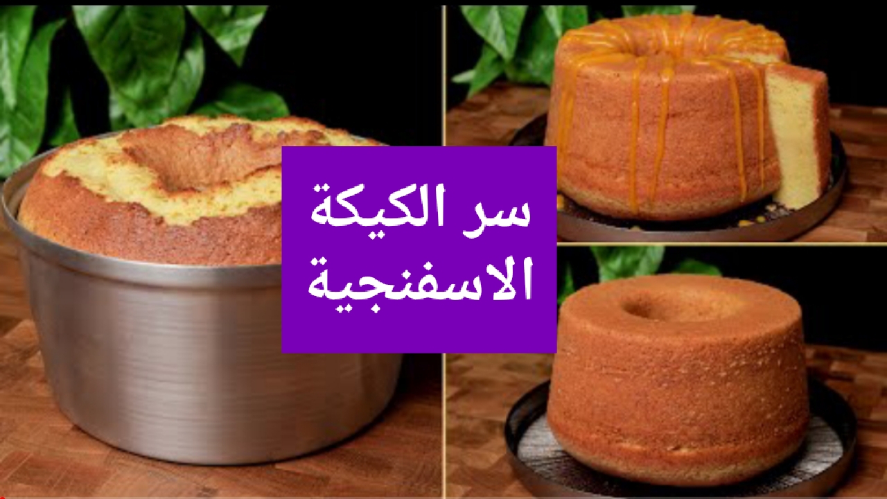 IMG ٢٠٢٢٠٣٠٤ ٢٠٣٣١٩