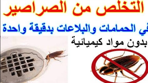 IMG ٢٠٢٢٠٤١٥ ٢٢٥٣٣٦