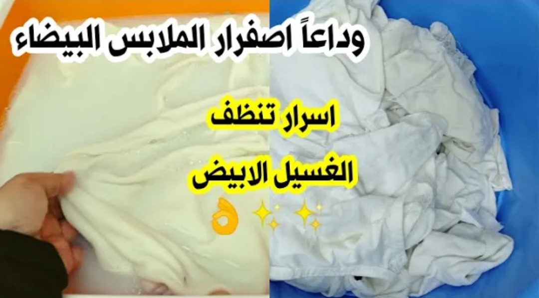 IMG ٢٠٢٢٠٥٢١ ٠٢٤٧٣٤ 1