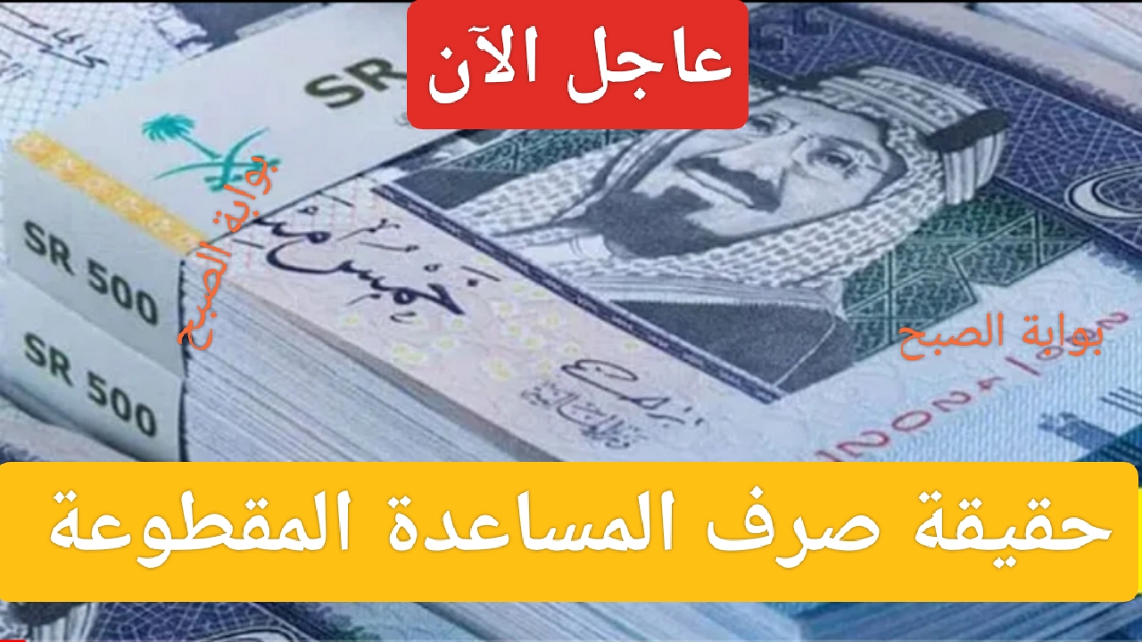 IMG ٢٠٢٣١١٢٠ ٠٨١٨٣٠ 1