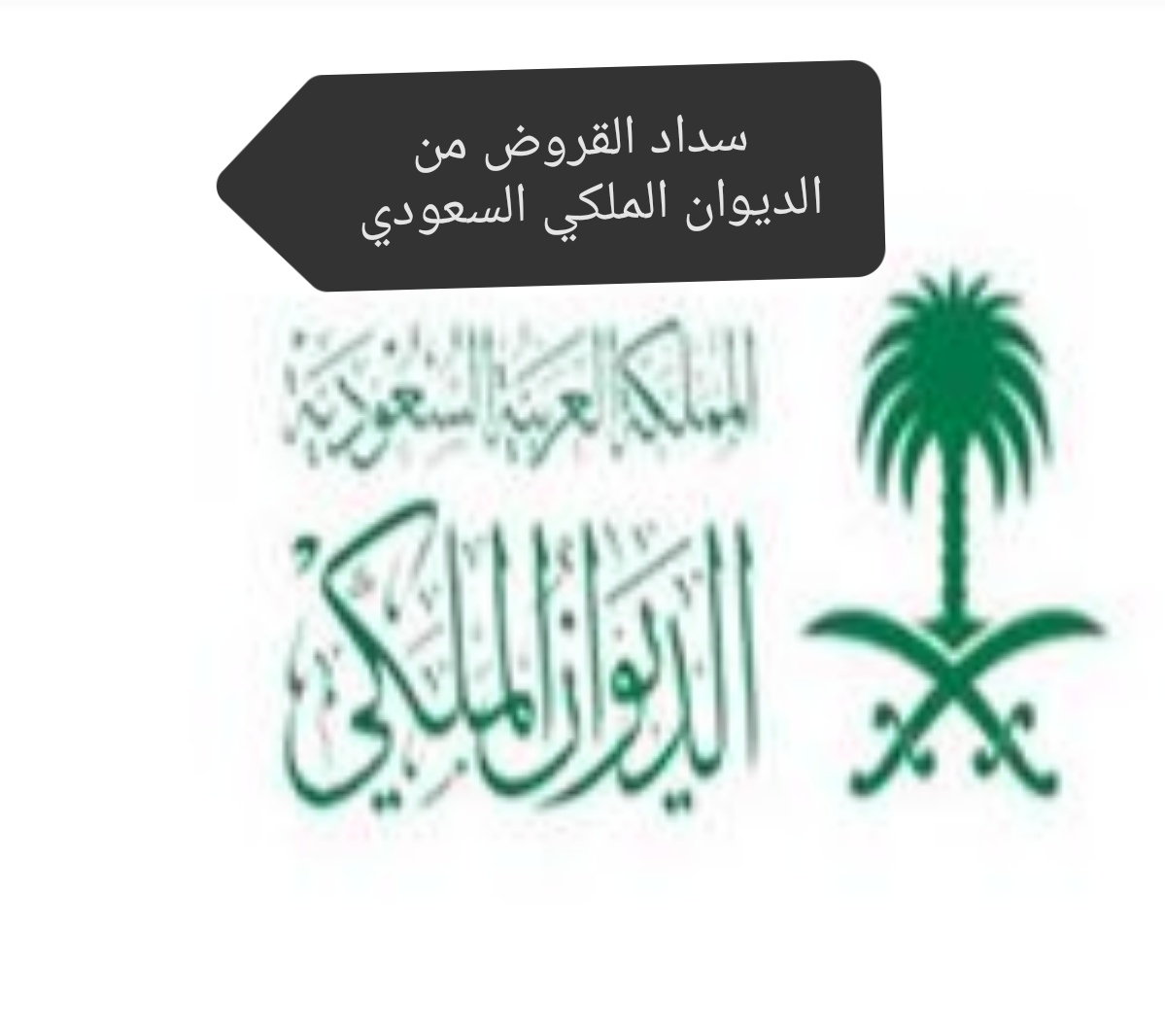 الإعفاء من سداد القروض من الديوان الملكي