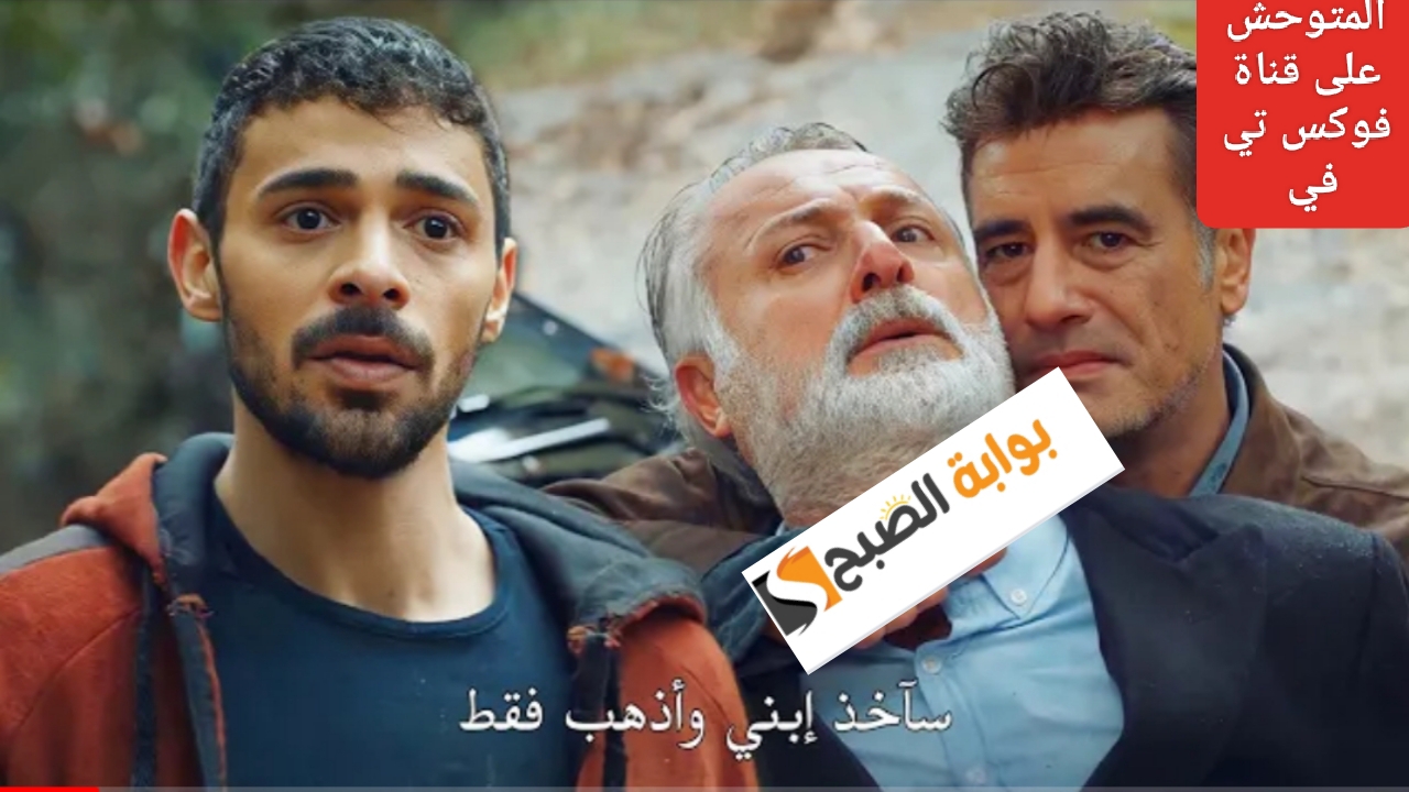 IMG ٢٠٢٣١١٢٨ ٢٠٥٤٣٧