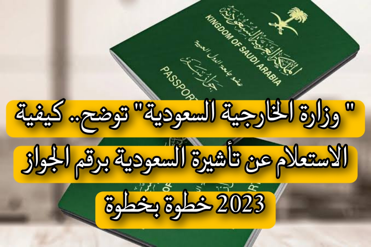 الاستعلام عن تأشيرة السعودية برقم الجواز 2023