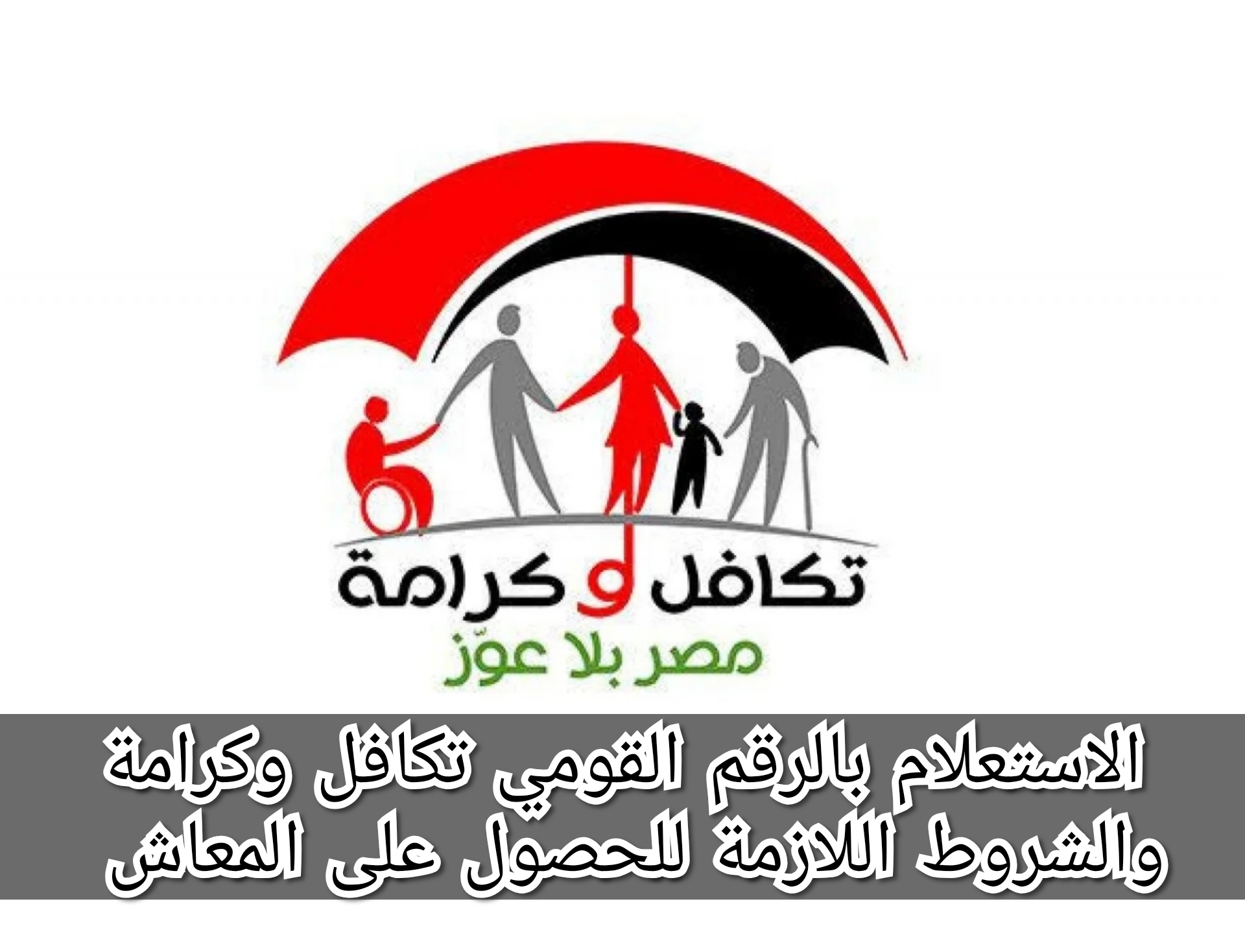 الاستعلام بالرقم القومي تكافل وكرامة والشروط اللازمة للحصول على المعاش