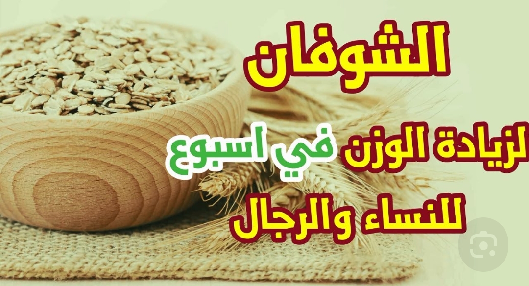 وصفة الشوفان لزيادة الوزن في اسبوع