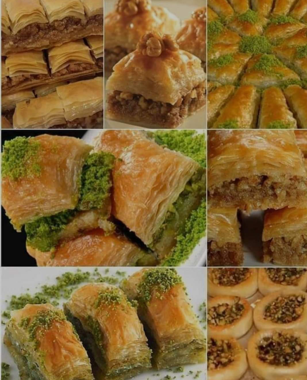 Screenshot ٢٠٢٣١١٢٥ ١٩١٤١٤