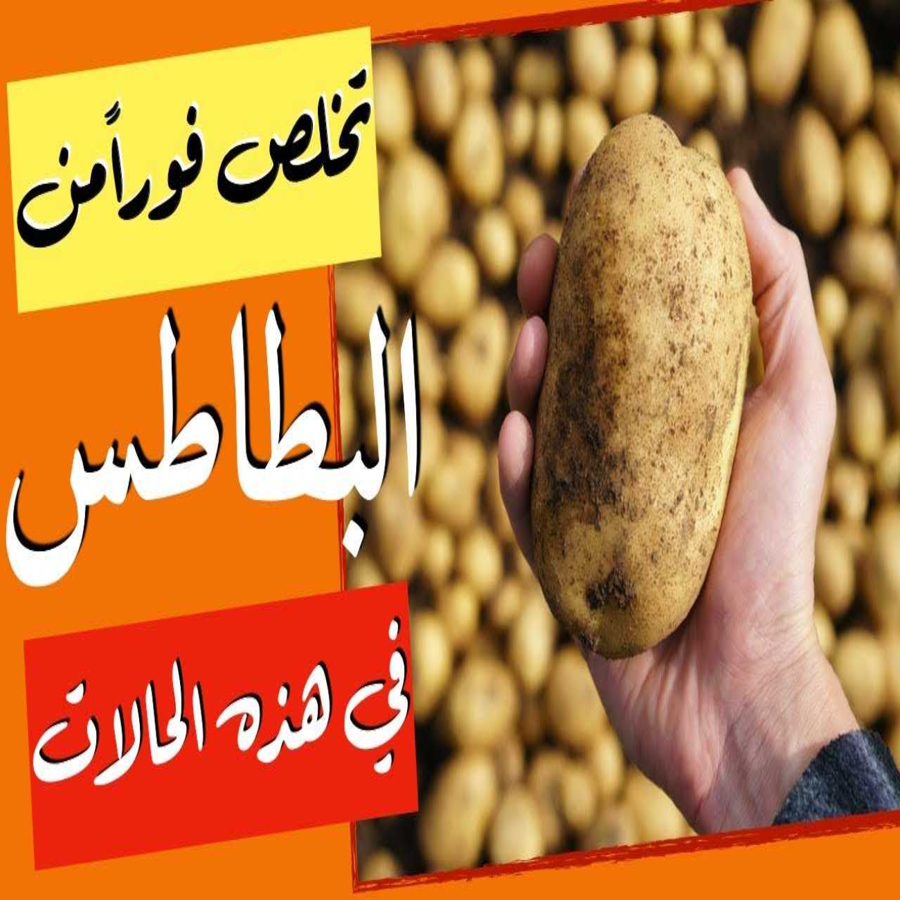 T401700073664768