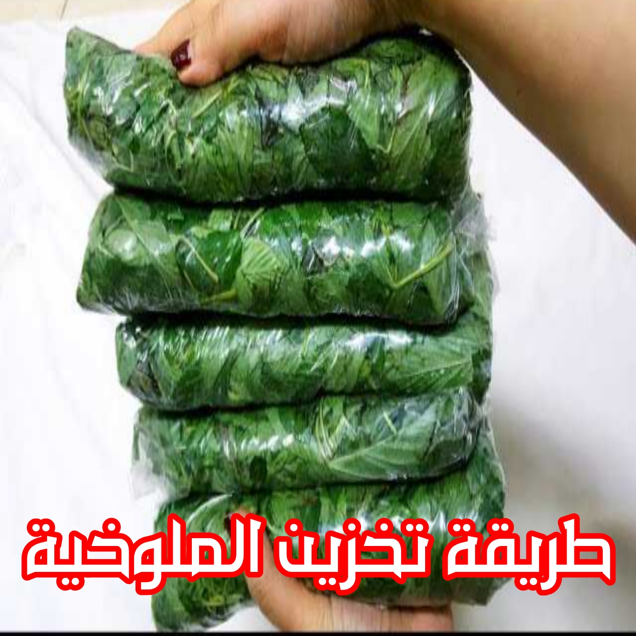 T401700094635938
