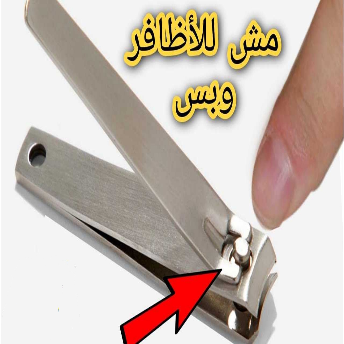 T401700395574825