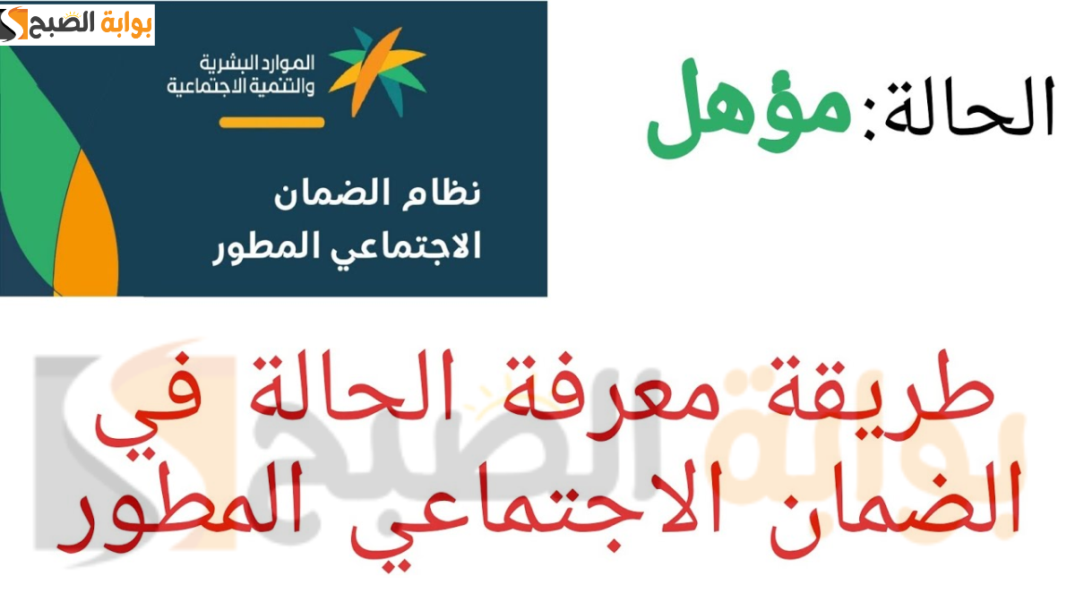 الاستعلام عن أهلية الضمان المطور