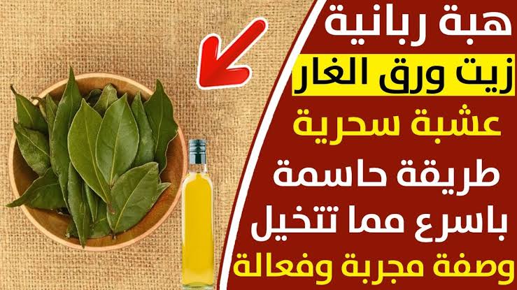 مشروب ورق الغار للتخسيس