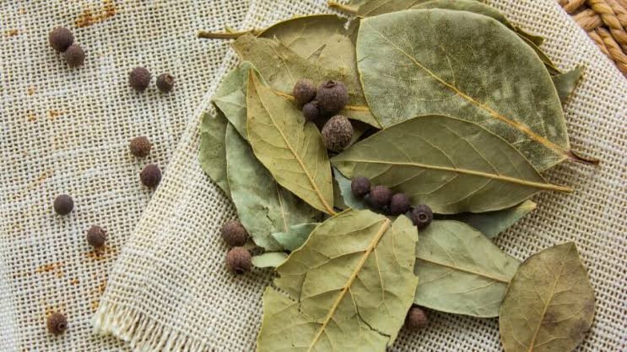 مشروب ورق الغار