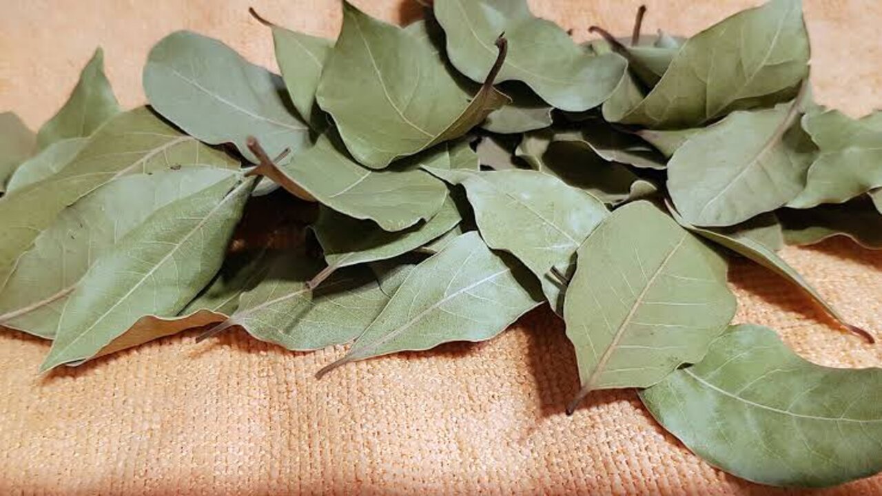 مشروب ورق الغار للتنحيف