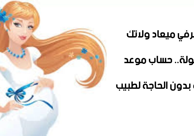 img 1700178635331 800x562 1