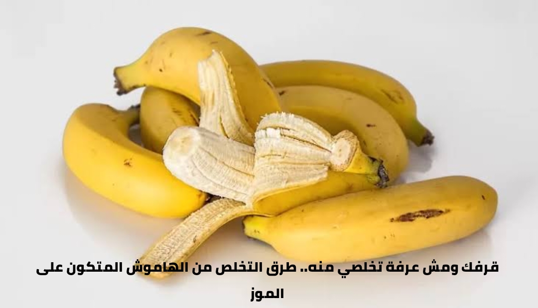 حل مشكلة الهاموش في المنزل