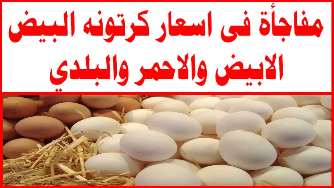سعر البيض
