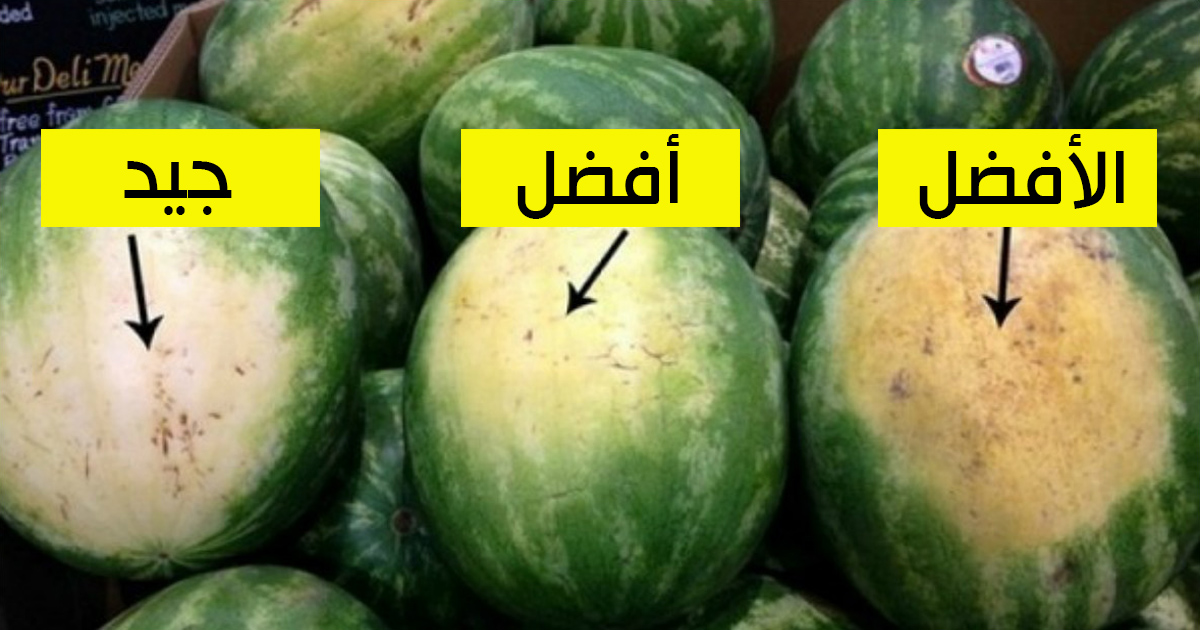 معرفة نوع البطيخ