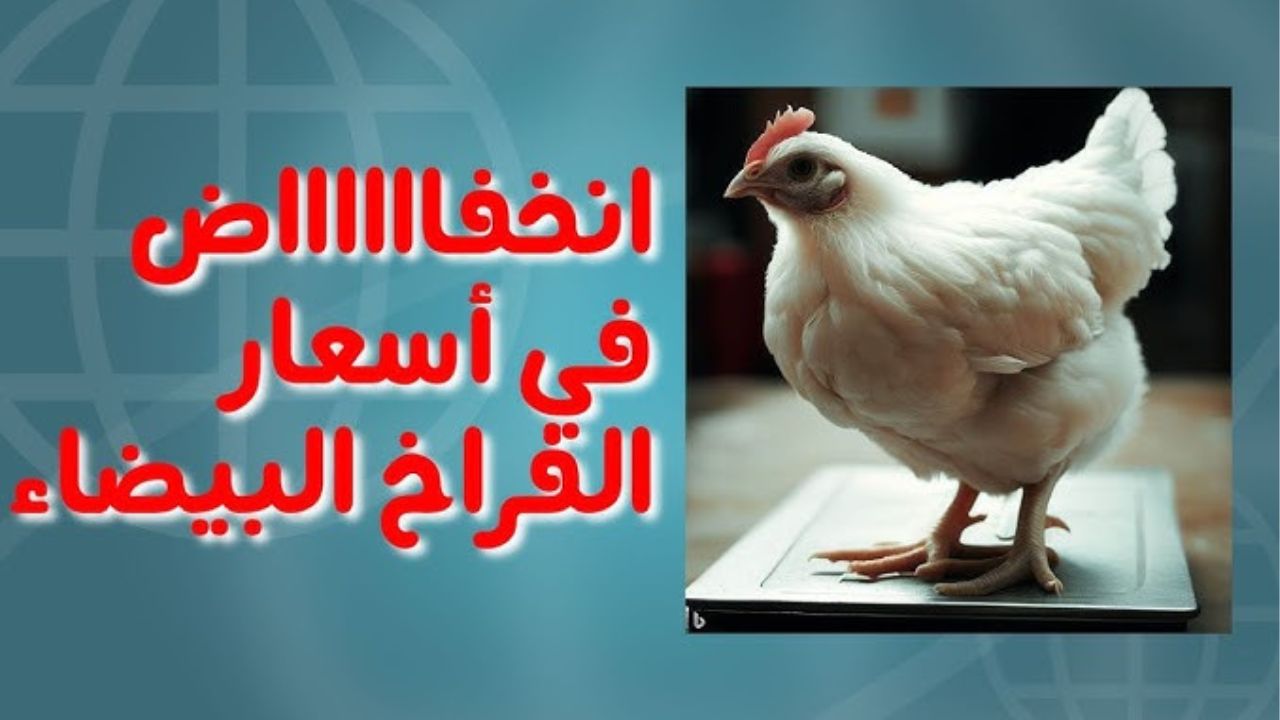 أسعار الدواجن اليوم