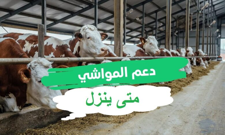 التقديم في دعم المواشي بالسعودية