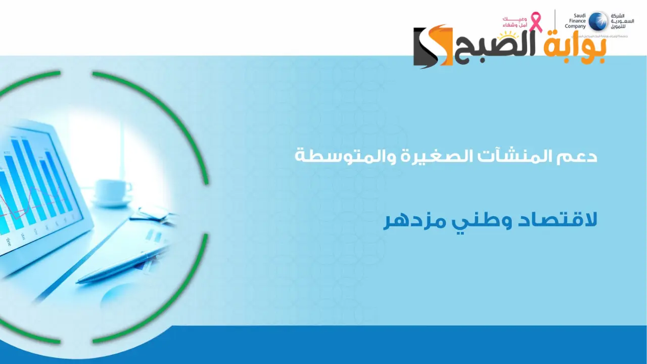 الشركة السعودية للتمويل