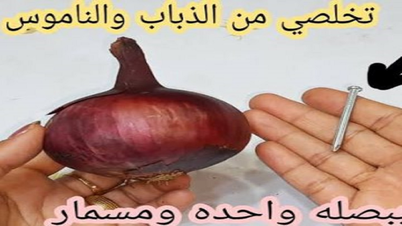 القضاء علي الصراصير