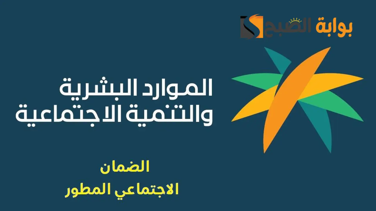 الفئات المستبعدة من الضمان