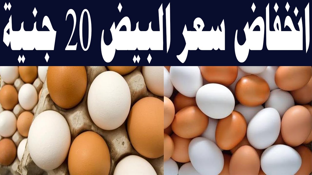 انخفاض سعر كرتونة البيض