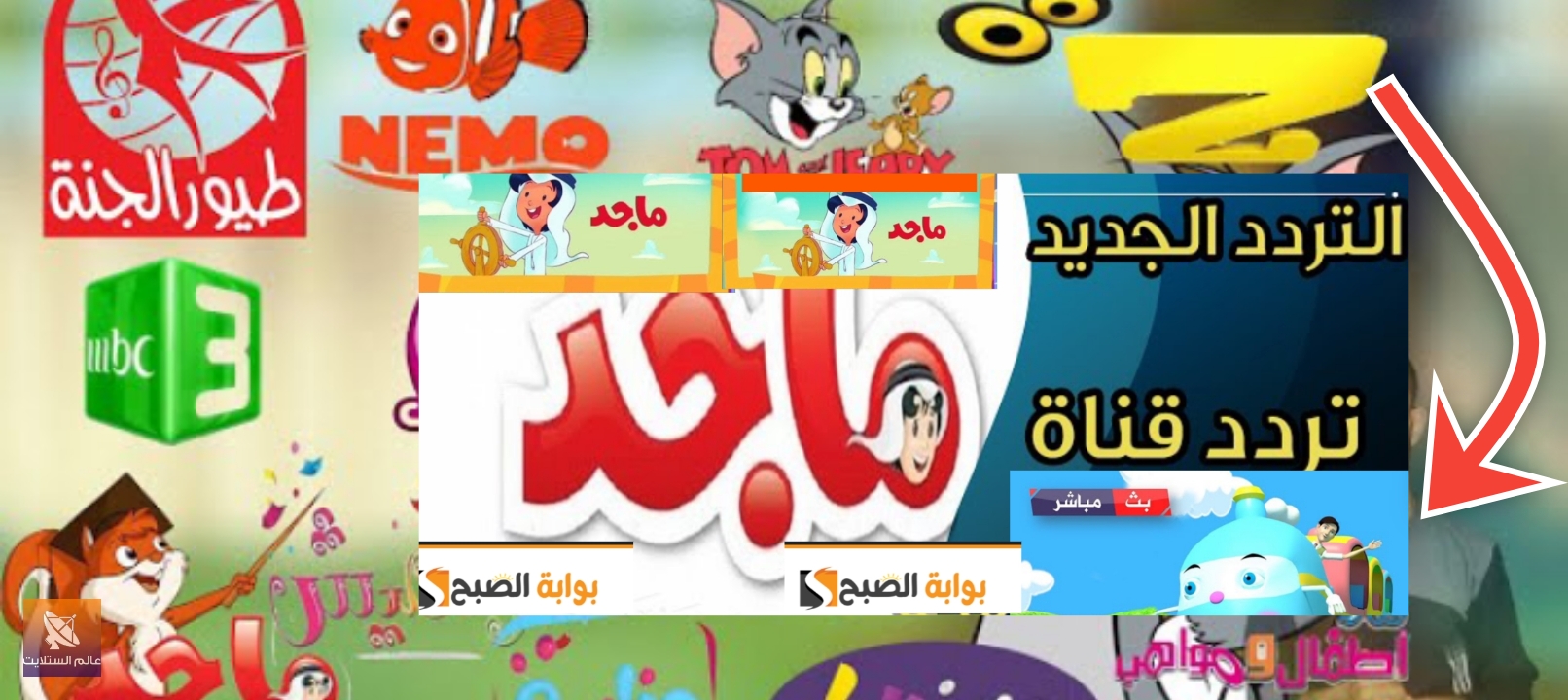 تردد قناة ماجد للأطفال 2024 كيدز