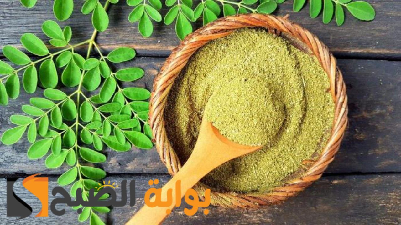 الاعشاب الطبية وفوائدها