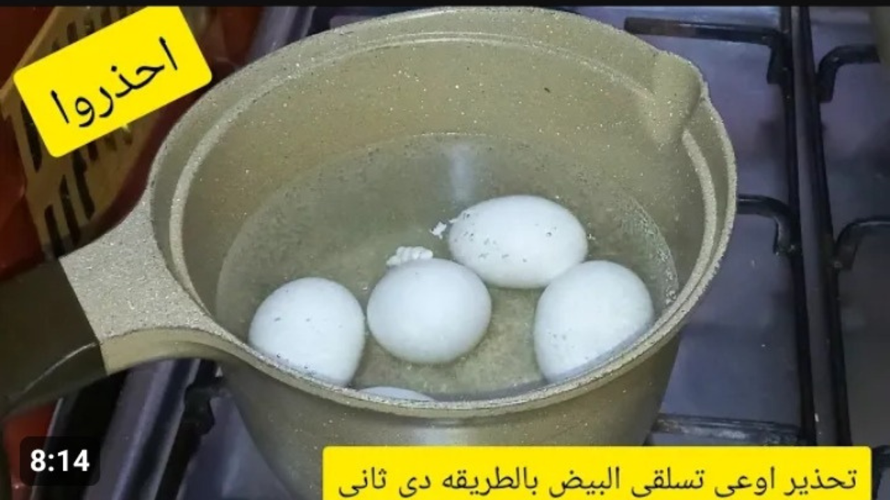 سلق البيض