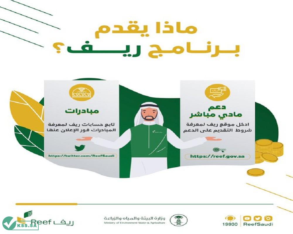 دعم ريف 1445 معرفة هل أنت مستحق أم لا reef.gov.sa شروط التقديم