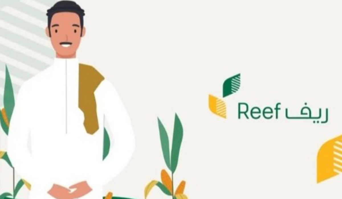 دعم ريف للعاطلين