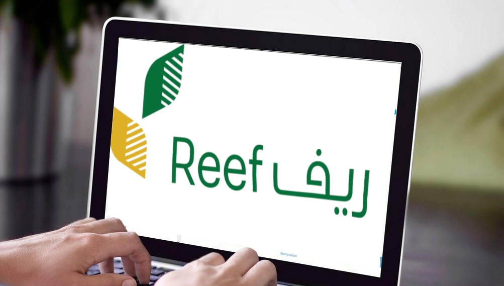 دورات تدريبية التقديم عن بعد برنامج ريف لاب توب وظائف