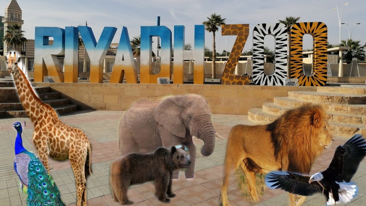 حديقة الحيوان بالرياض.. رابط الحجز وأسعار التذاكر 2023م