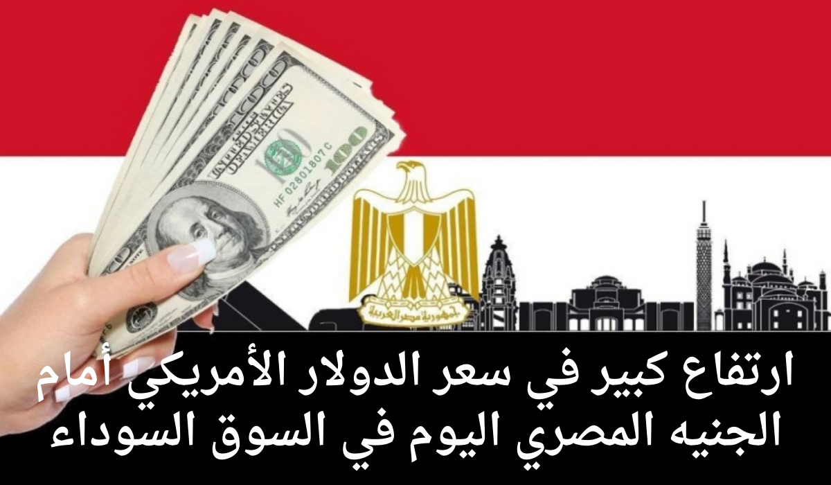 سعر الدولار أمام الجنيه المصري اليوم