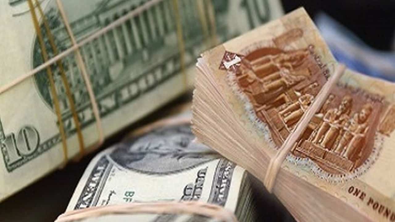 سعر الدولار اليوم