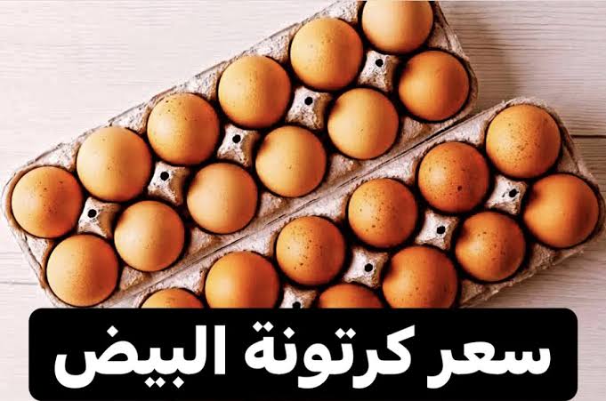 سعر كرتونة البيض