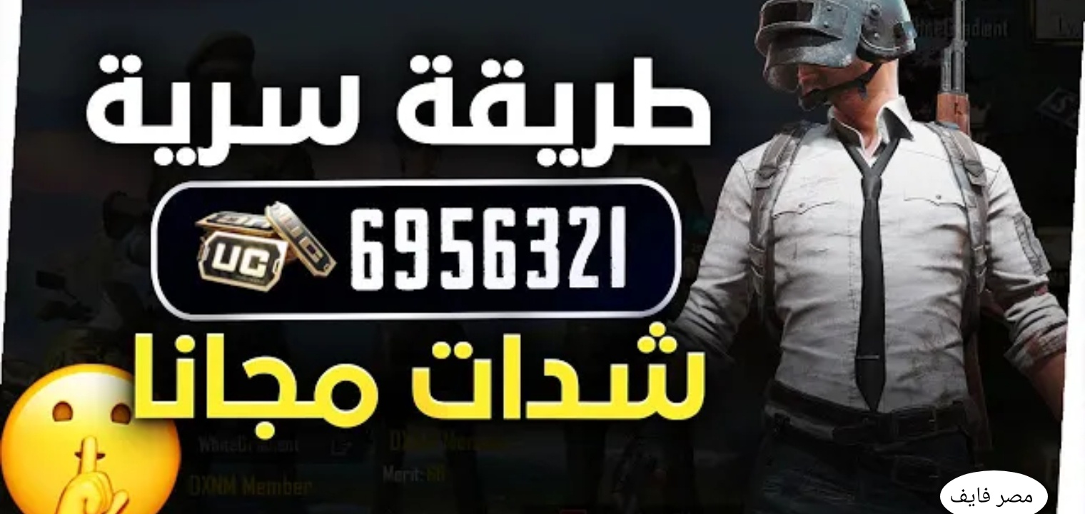 شحن شدات ببجي شرعي